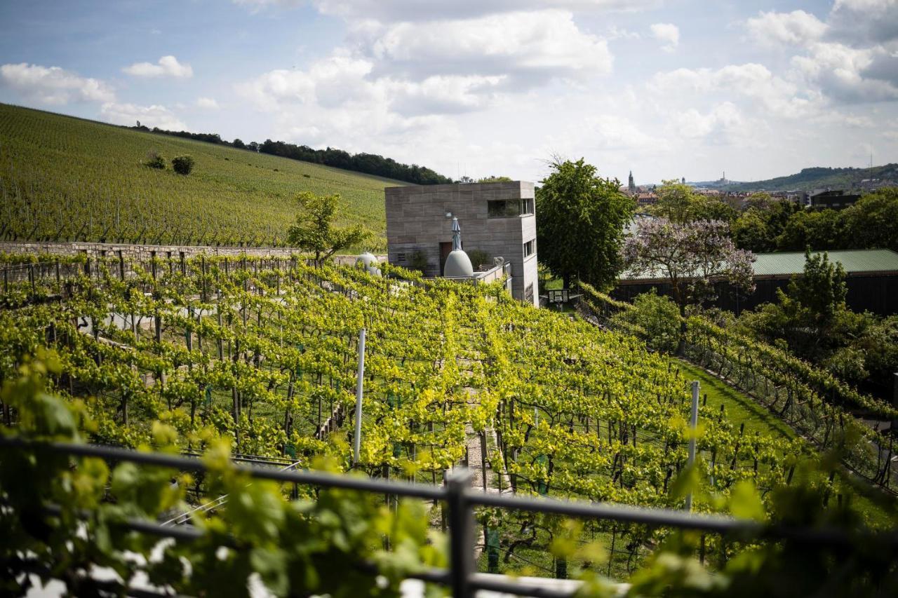 Im Weingut Am Stein Würzburg