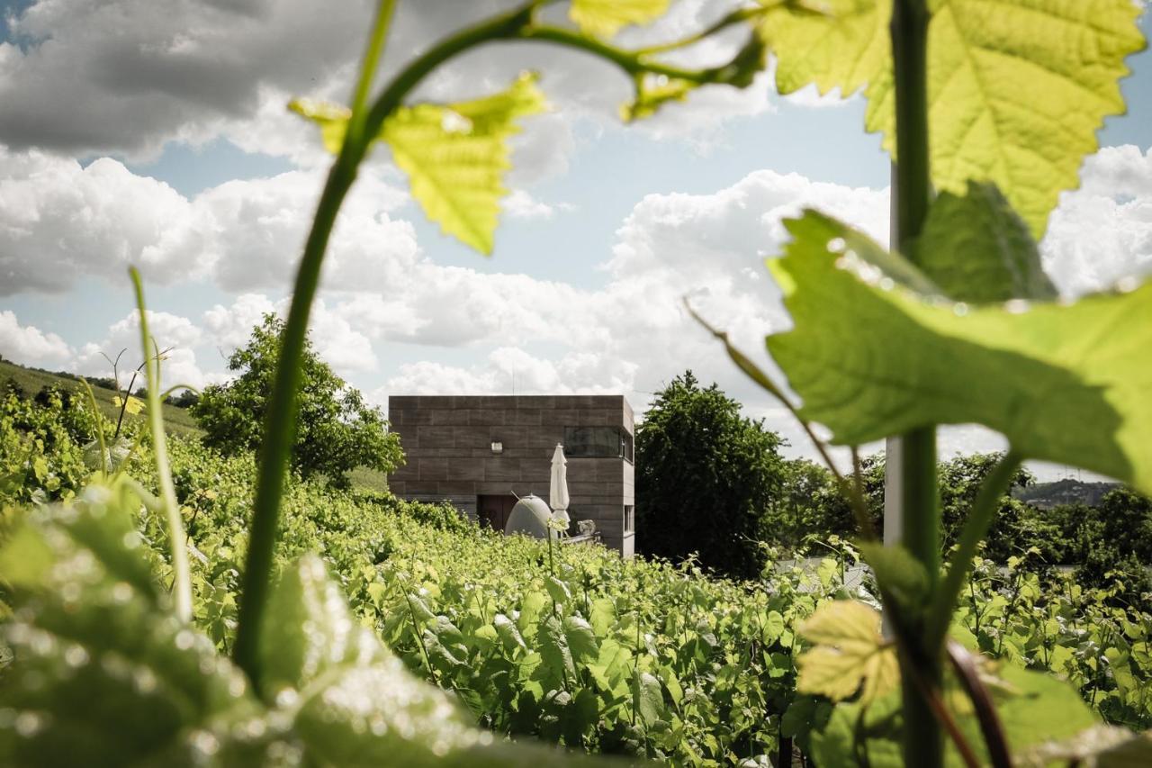 Im Weingut Am Stein *